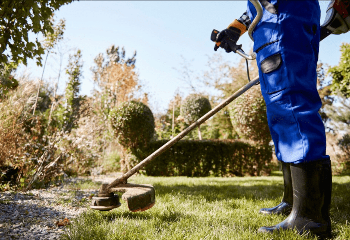 Landscaping services
