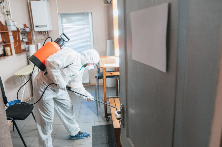 https://vmlfacilitymanagement.com/wp-content/uploads/2024/03/pest-control-22.png